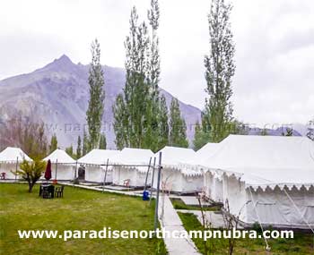 About Paradise North Camp Nubra