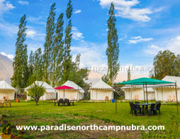Nubra Paradise North Camp Exterior