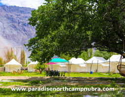 Paradise Camp Nubra Garden