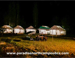 Paradise North Camp Ladakh Exterior