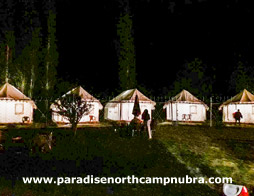 Paradise North Camp Nubra Valley Exterior